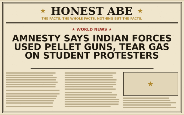 Amnesty Says Indian Forces Used Pellet Guns, Tear Gas on Student Protesters