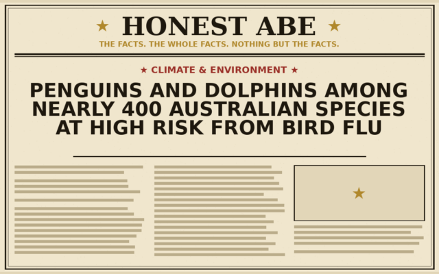 Penguins and Dolphins Among Nearly 400 Australian Species at High Risk From Bird Flu
